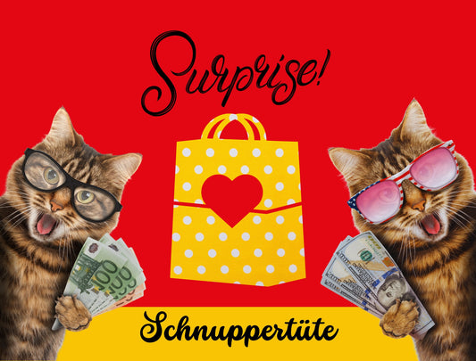 Schnuppertüte | Sparchallenges für A6 Budgetbinder