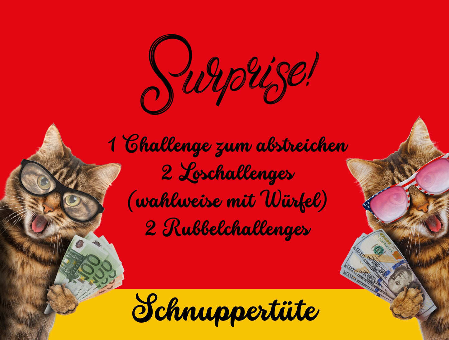 Schnuppertüte | Sparchallenges für A6 Budgetbinder